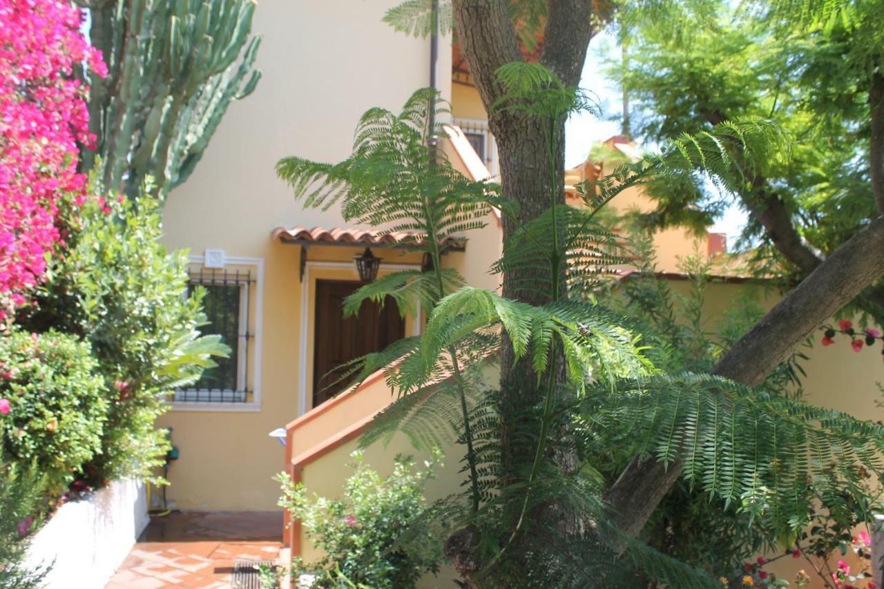 La Mariolina Villa Sanremo Exterior photo
